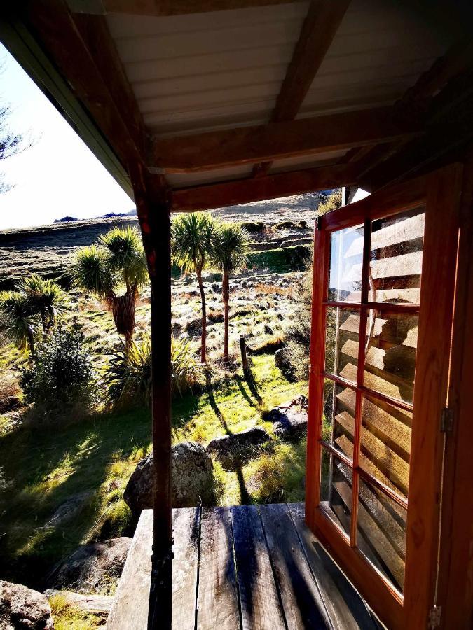 Manaaki Mai, Rustic Retreat Bush Cabin Крайстчерч Екстер'єр фото
